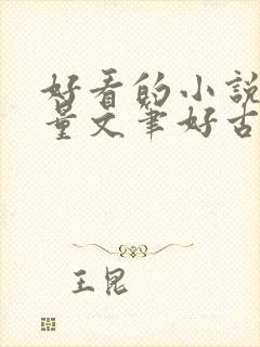 好看的小说高质量文笔好古言