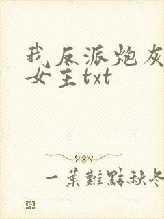 我反派炮灰专撩女主txt