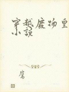 穿越废物皇子的小说