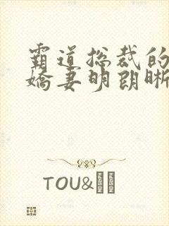 霸道总裁的独宠娇妻明朗晰