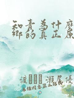 知青为什么要下乡的真正原因