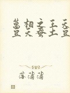 万相之王天蚕土豆天蚕土豆