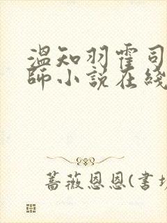 温知羽霍司砚律师小说在线阅读