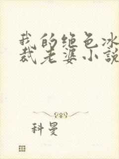 我的绝色冰山总裁老婆小说