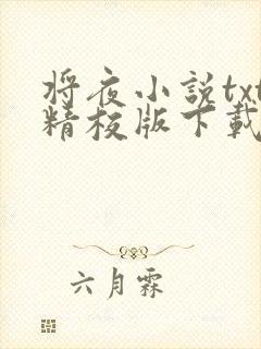 将夜小说txt精校版下载