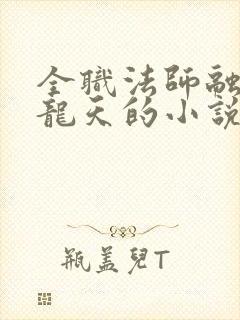 全职法师融合黑龙天的小说