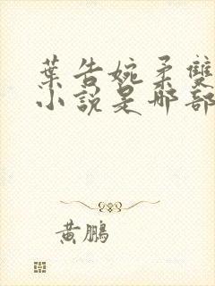 叶告婉柔双男主小说是哪部