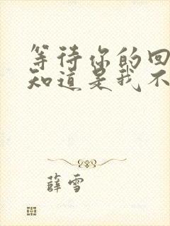 等待你的回来我知道是我不懂爱是什么歌