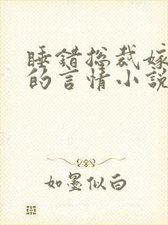 睡错总裁嫁对郎的言情小说免费阅读