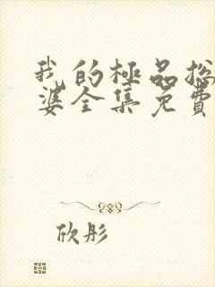 我的极品总裁老婆全集免费