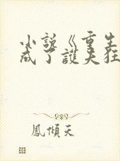 小说《重生后我成了护夫狂魔》