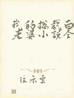 我的总裁白富美老婆小说全集完整版