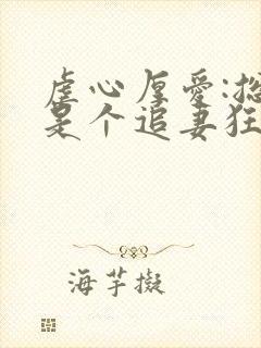 虐心厚爱:总裁是个追妻狂