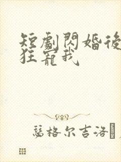 短剧闪婚后大叔狂宠我