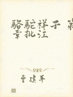 骆驼祥子 第七章批注