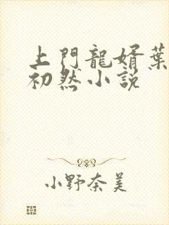 上门龙婿叶辰萧初然小说