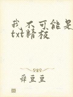 我不可能是剑神txt精校
