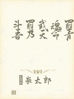 斗罗武魂罗三炮吾乃天命青龙