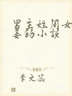 男主姓周女主姓姜的小说