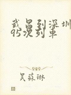 武昌到深圳的t95次列车