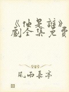 《他是谁》电视剧全集免费观看