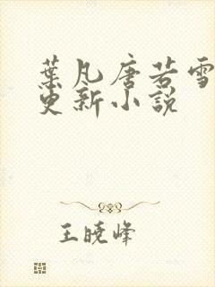 叶凡唐若雪今日更新小说