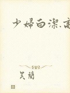 少妇白洁.高义