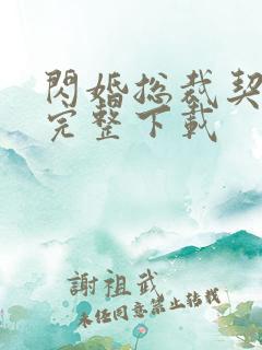 闪婚总裁契约妻完整下载