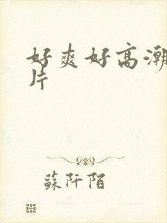 好爽好高潮的毛片