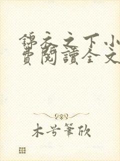 锦衣之下小说免费阅读全文无删减