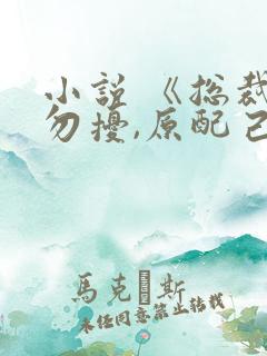 小说 《总裁请勿扰,原配己重生》