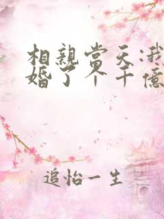 相亲当天:我闪婚了个千亿富翁有声小说