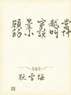 顾晨穿越当律师的小说叫什么