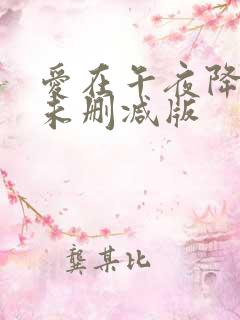 爱在午夜降临前未删减版