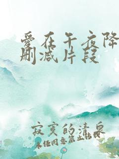 爱在午夜降临前删减片段