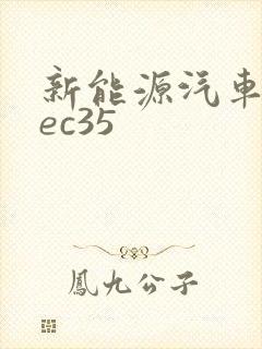 新能源汽车瑞驰ec35