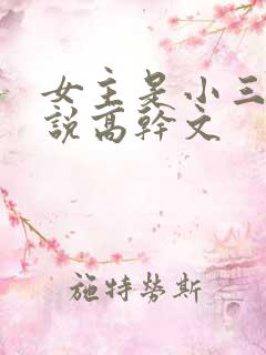 女主是小三的小说高干文