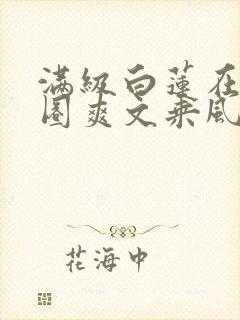 满级白莲在娱乐圈爽文乘风破浪