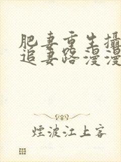 肥妻重生摄政王追妻路漫漫全集免费