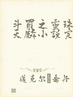 斗罗之灵珠神剑天麟小说完整版下载txt