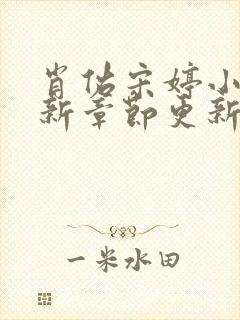 肖佑宋婷小说最新章节更新时间