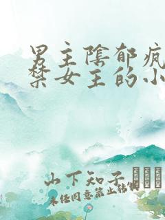 男主阴郁疯批囚禁女主的小说