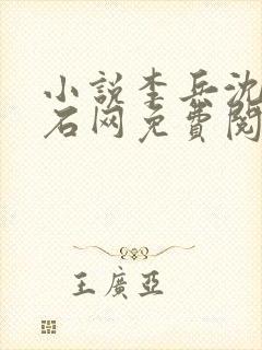 小说李兵沈思顽石网免费阅读