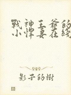 战神王爷的甜宠小悍妻在线看小说