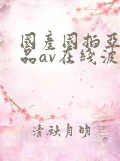 国产国拍亚洲精品av在线波野