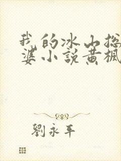 我的冰山总裁老婆小说黄枫雨天