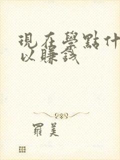 现在学点什么可以赚钱