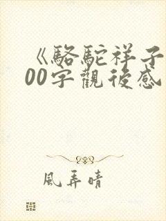 《骆驼祥子》500字观后感