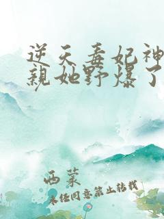 逆天毒妃神医娘亲她野爆了