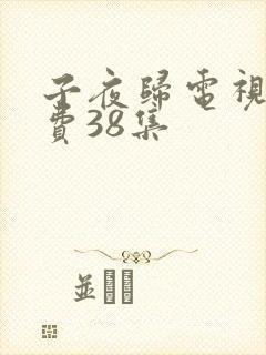 子夜归电视剧免费38集